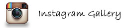 Instagram Gallery